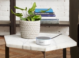 Amazon Echo on a table next to a plant in Florida